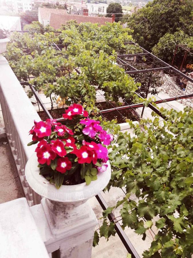 Nemanja Apartment เทรบินเย ภายนอก รูปภาพ