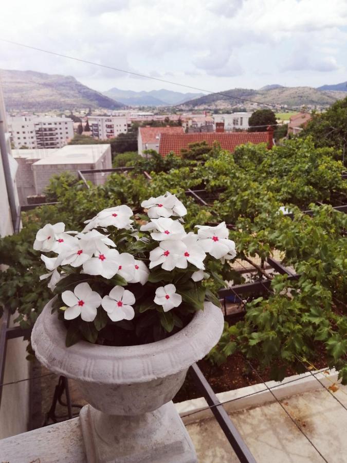 Nemanja Apartment เทรบินเย ภายนอก รูปภาพ