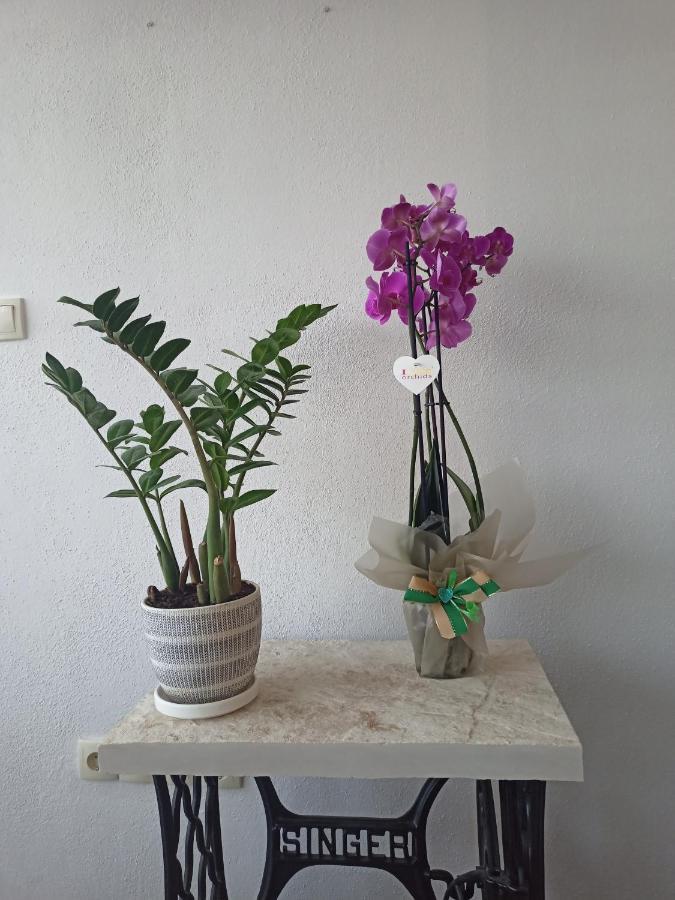 Nemanja Apartment เทรบินเย ภายนอก รูปภาพ